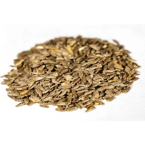 Mixed Lettuce Greens Seeds