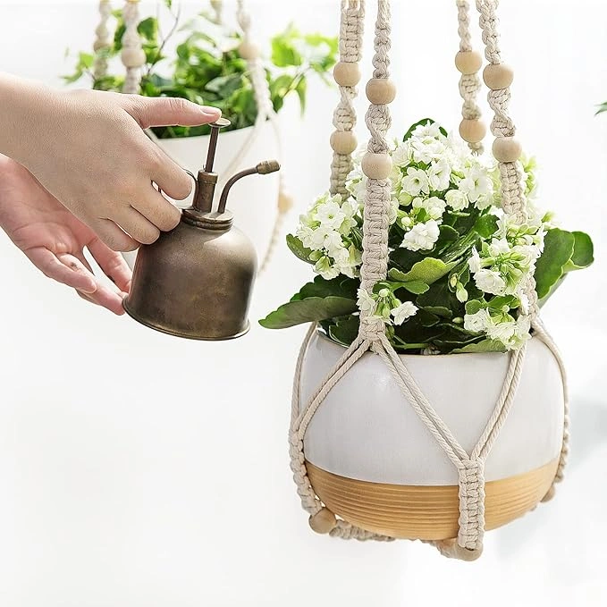 Hanging Macrame Planter